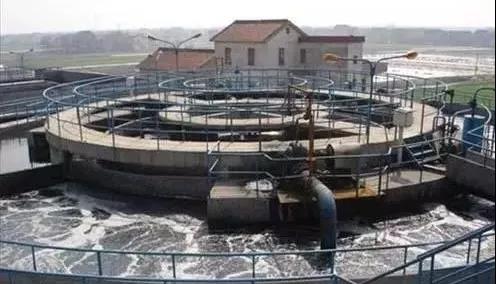 活性污泥變黑，高手都在這5處找原因