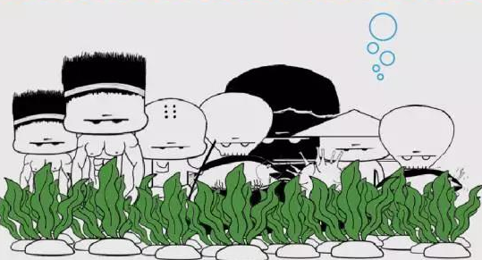 這是我看過解釋COD、BOD、TP、TN....最接地氣的答案